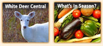 White Deer Central and Order Online